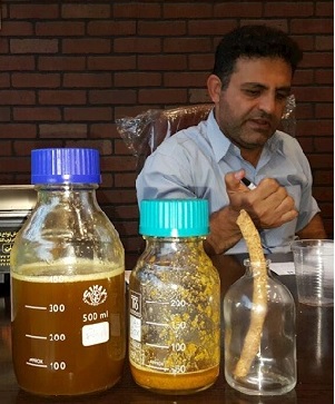 روغن کاملینا جایگزینی مناسب برای کلزا